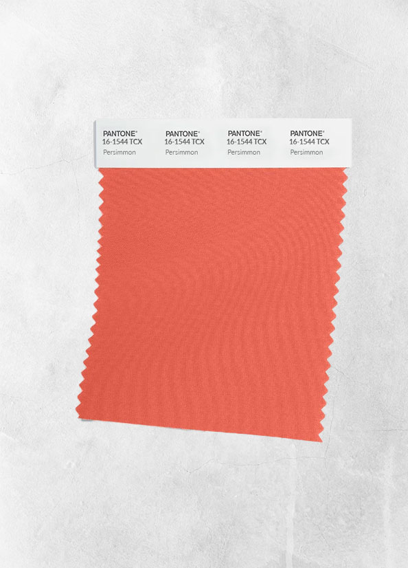 Pantone Farbe des Jahres